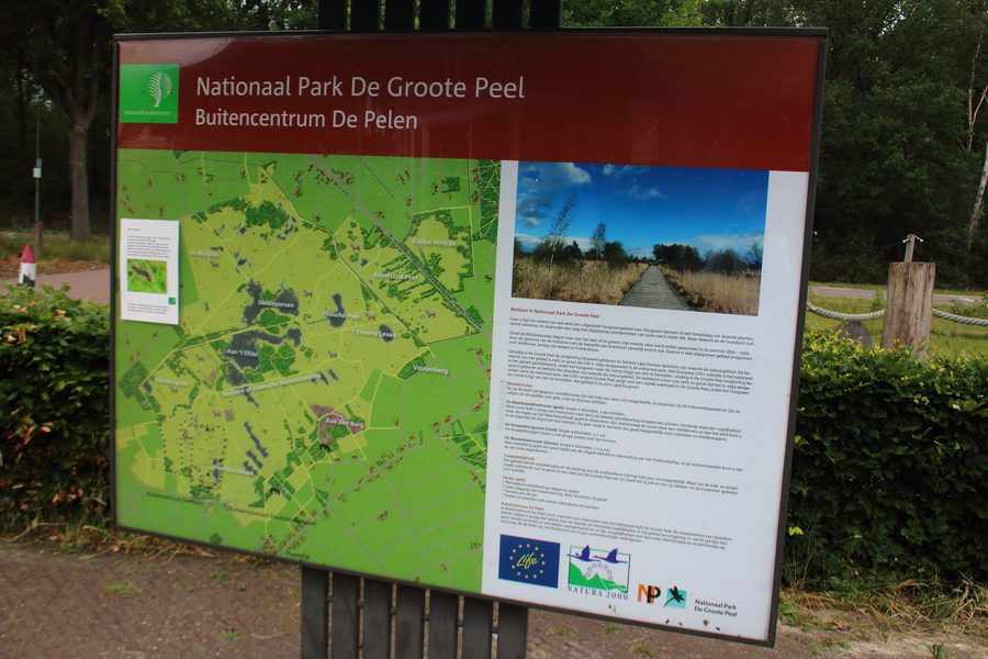 Moorlandschaft im Nationalpark De Groote Peel nahe Meijel