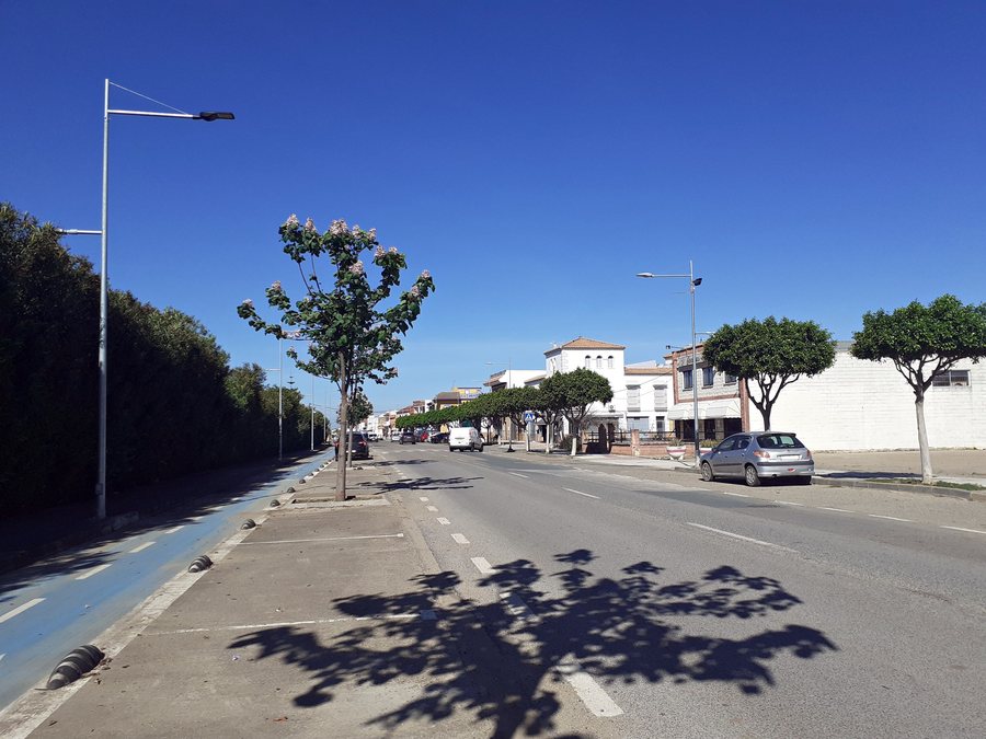 File:Avenida de Sevilla, Los Rosales.jpg