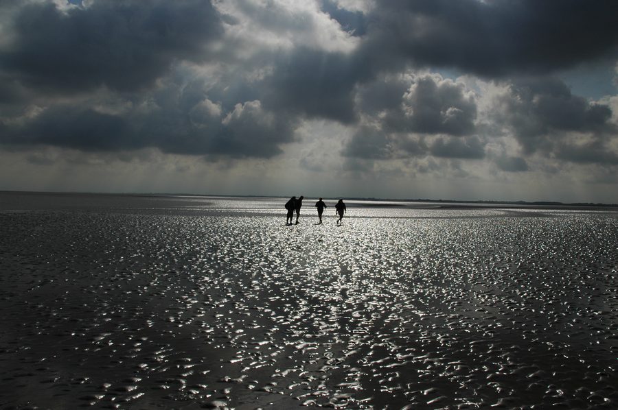 Escursione sul bagnasciuga ad Ameland