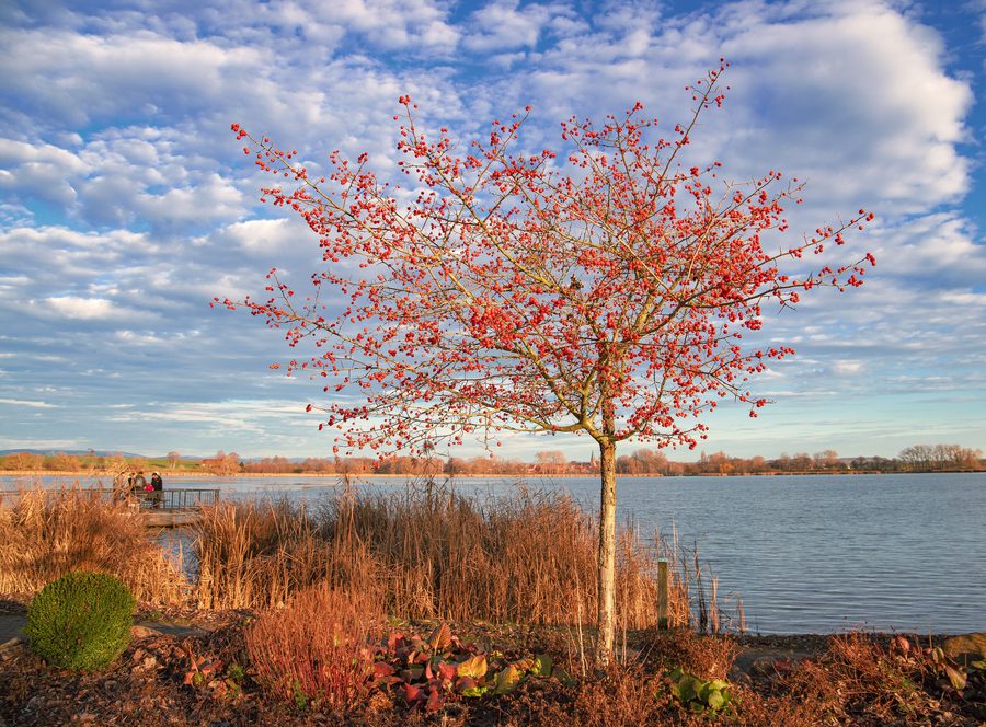 Naturschutzgebiet Seeburger See zwischen Göttingen und Duderstadt im Untereichsfeld