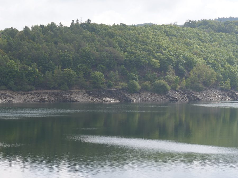 Blick auf die Rurtalsperre vom Weg am Nordufer in Simmerath