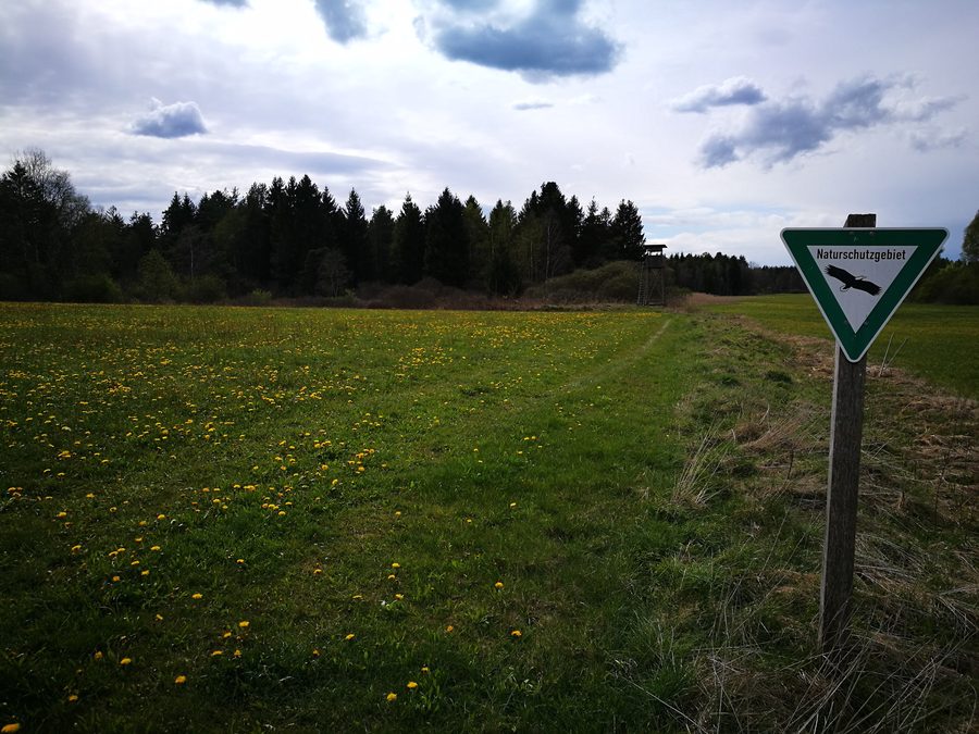 Naturschutzgebiet Waltere Moor bei Sauldorf mit mooriger Landschaft und Vegetation
