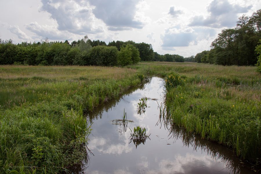 Paesaggio rurale nel Parco Nazionale Drentsche Aa.