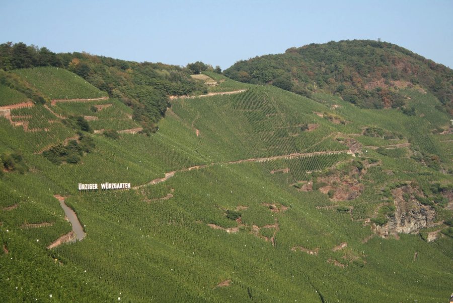 Weinbergslage Ürziger Würzgarten bei Bernkastel-Kues