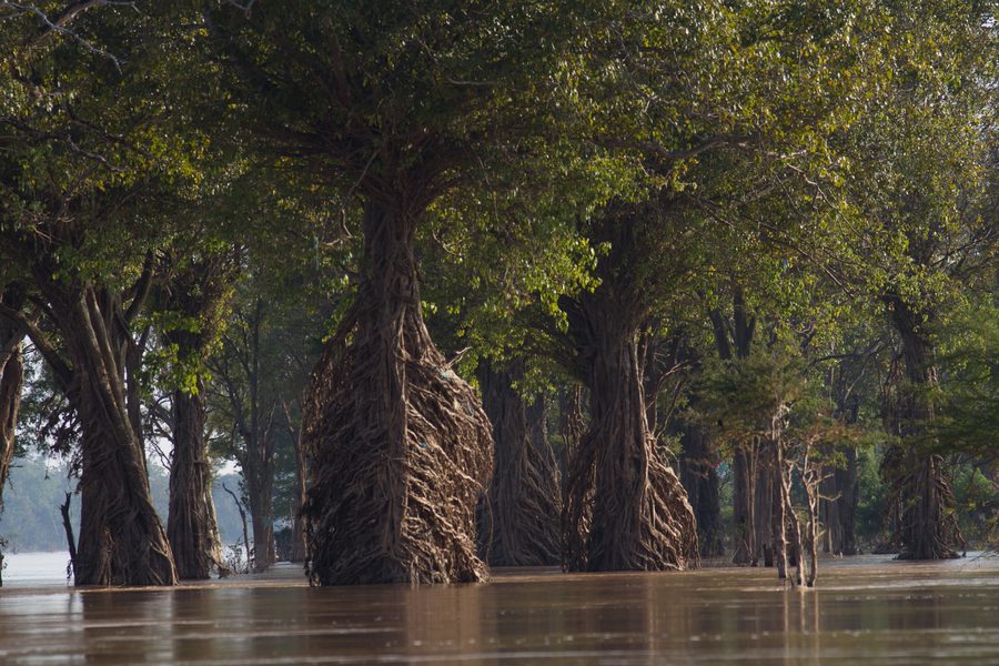 Mekong nördlich der Stadt Stung Treng in Kambodscha