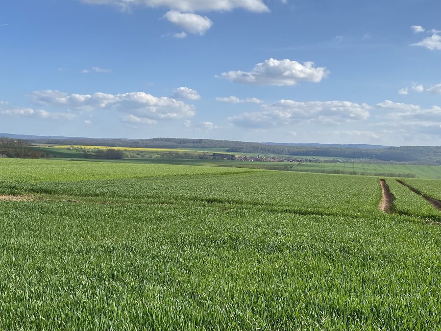 Blick auf Trebra und das obere Helmetal im thüringischen Landkreis Nordhausen
