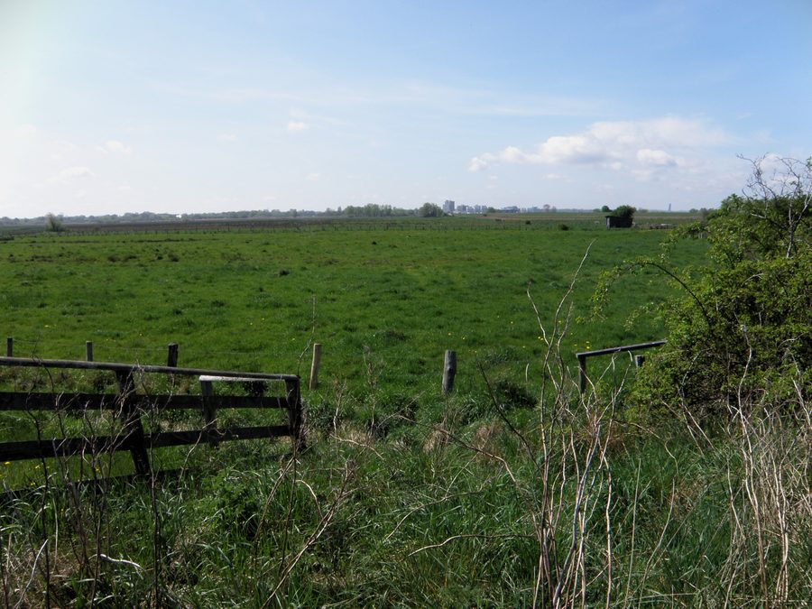 Vista sui prati nella riserva naturale Barsbeker See e dintorni