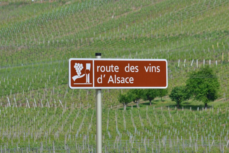 Paesaggio vitivinicolo in Alsazia
