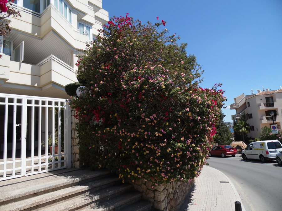 File:SES ILLETES-MAJORKA, AB-008.jpg