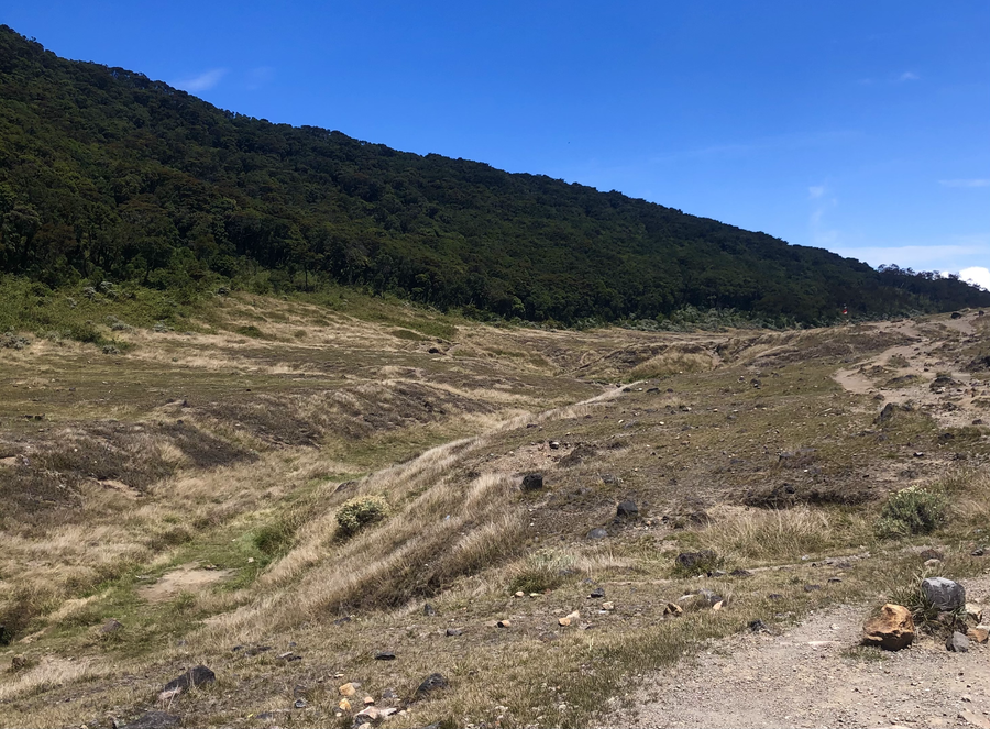 Paesaggio di savana nel Parco nazionale Gunung Gede Pangrango in Giava Occidentale