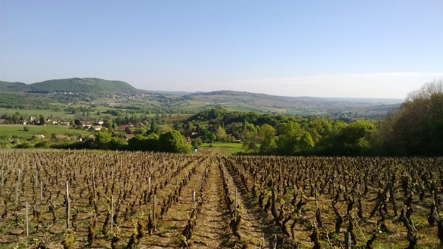 File:Vallée des Vaux - Barizey.jpg