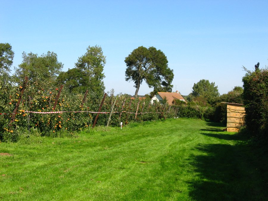 File:Peuplingues - panoramio.jpg