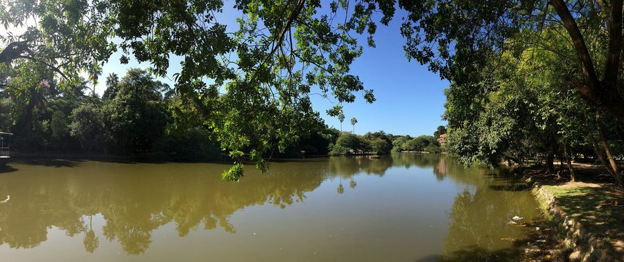 Panorama del Parque Farroupilha a Porto Alegre