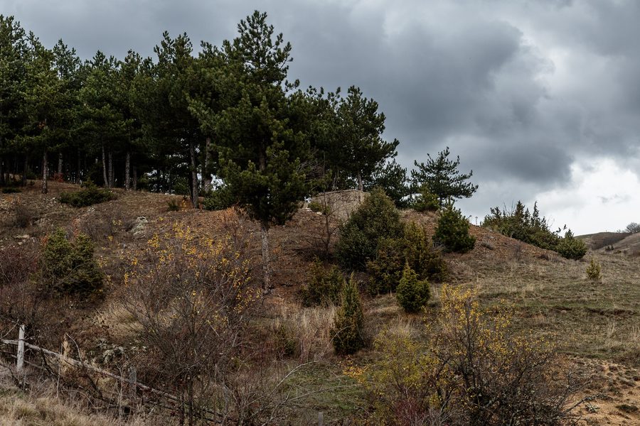 Paesaggio collinare in ambiente rurale