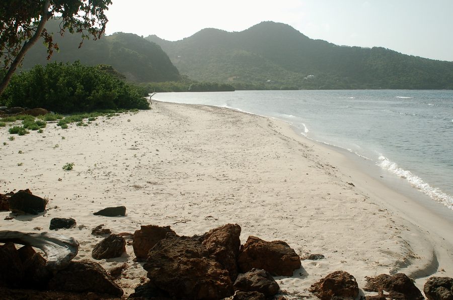 Big Sand Beach su Union Island