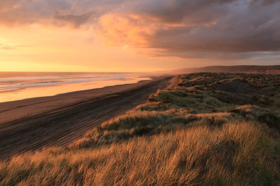 Dune di sabbia a Port Waikato sotto un cielo serale nuvoloso