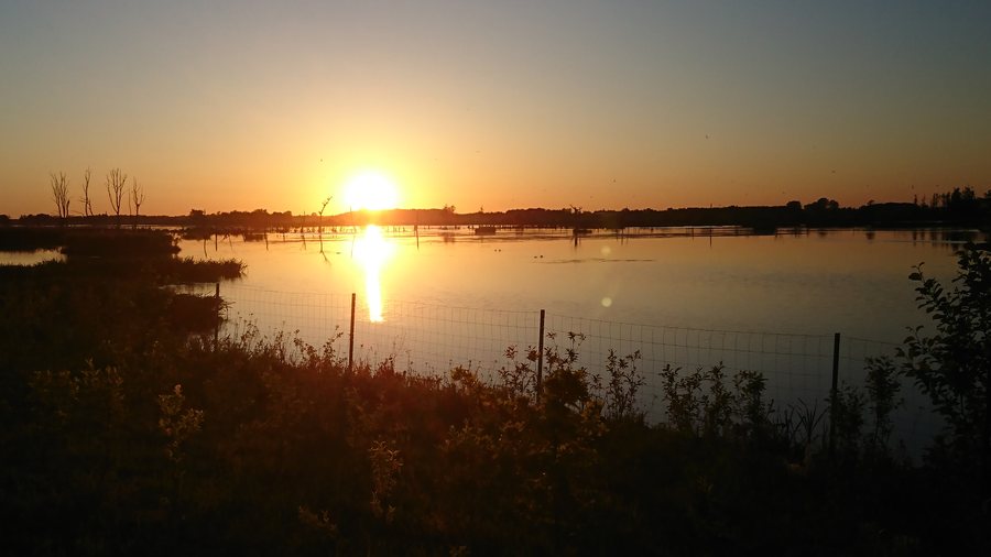 File:Peenetal bei Anklam Peenemoor.jpg