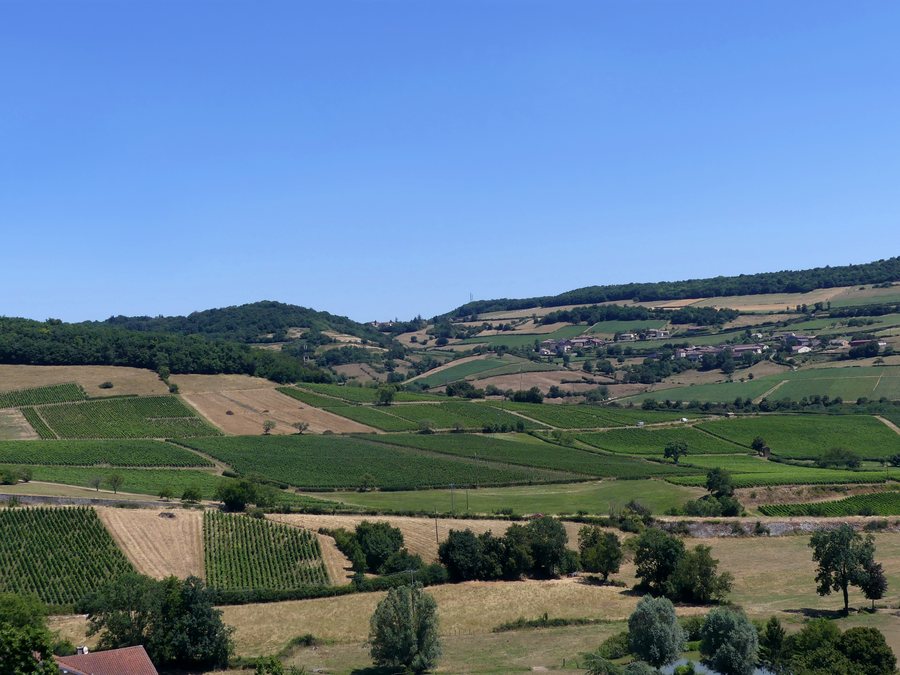 File:Berzé-la-Ville depuis Col du Bois-Clair (juillet 2025).JPG