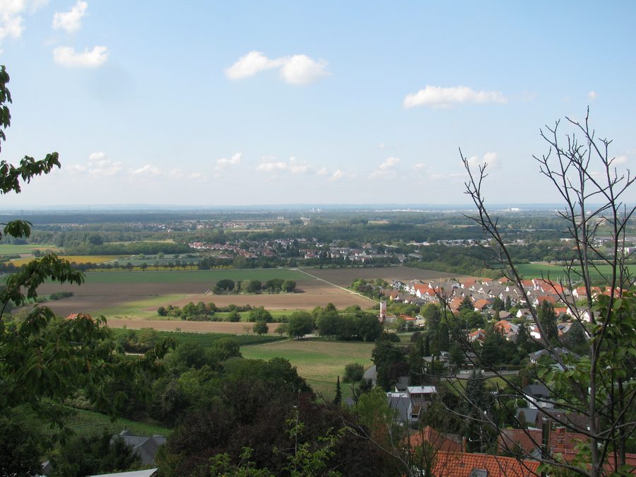 Blick von der Hindenburgstraße in Alsbach auf das Rheintal