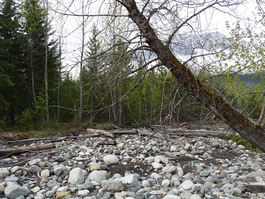 Uferlandschaft am Slocan Lake bei New Denver mit Bergen im Hintergrund