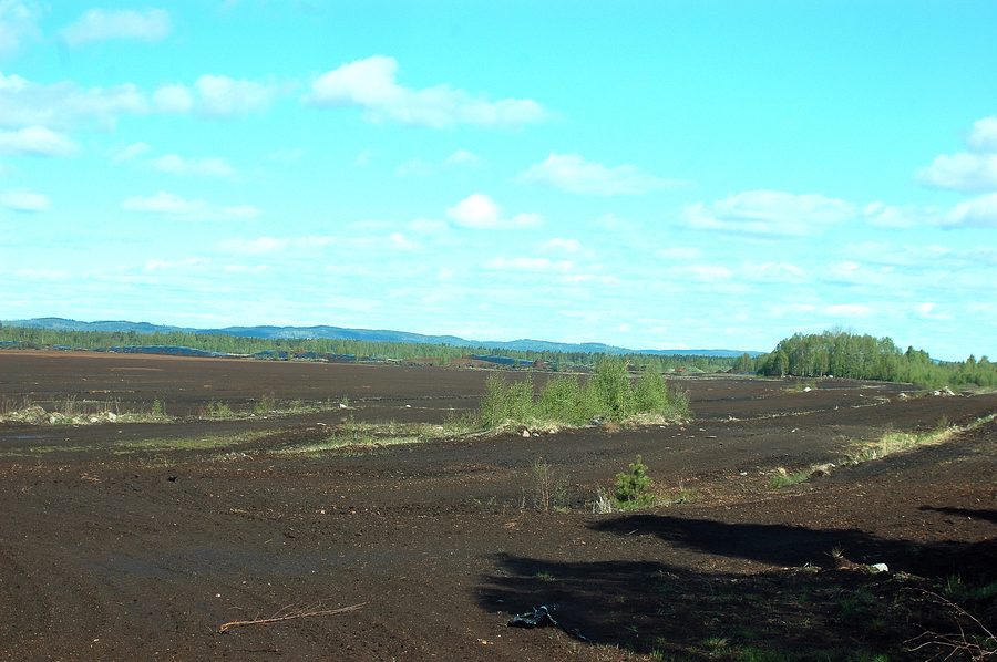 Landschaft im Naturreservat Skagerhultsmossen bei Västkärrs Torfstich