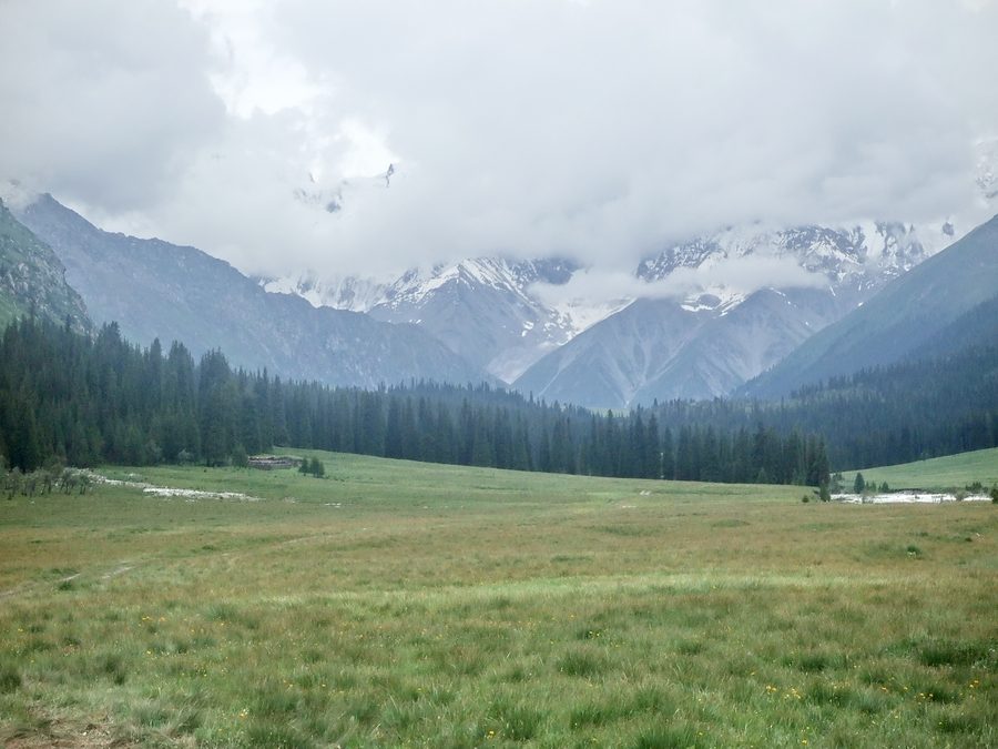 Ausschnitt des Kalasuo-Graslands in Xinjiang