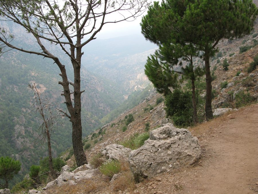 Strada verso il complesso monastico di Qozhaya nella valle di Qadisha