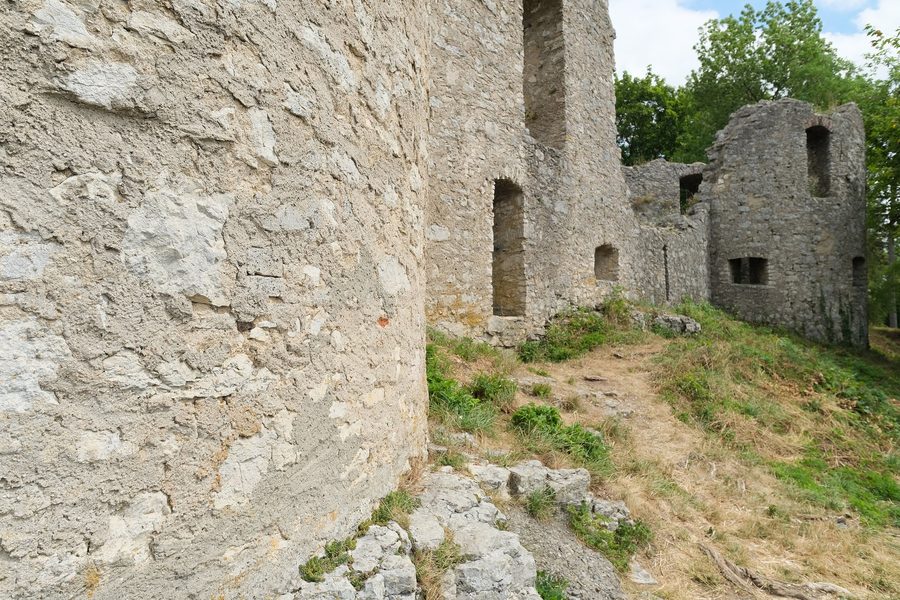 Reste der Burgruine Honberg in Tuttlingen auf einem bewaldeten Hügel