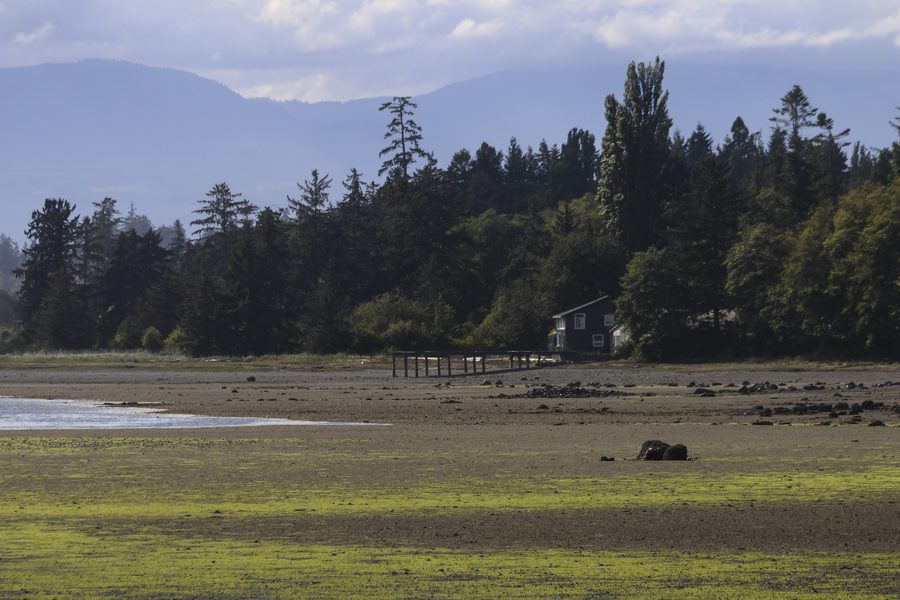 Paesaggio costiero di Powell River sulla Sunshine Coast settentrionale della Columbia Britannica