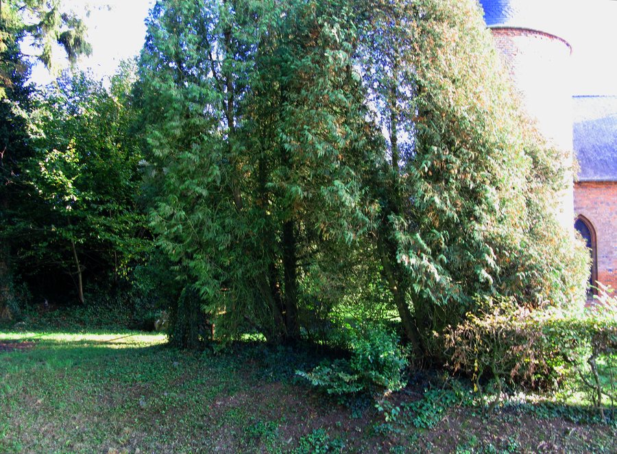 File:Grandrieux église fortifiée (haie sud-est) 1.jpg