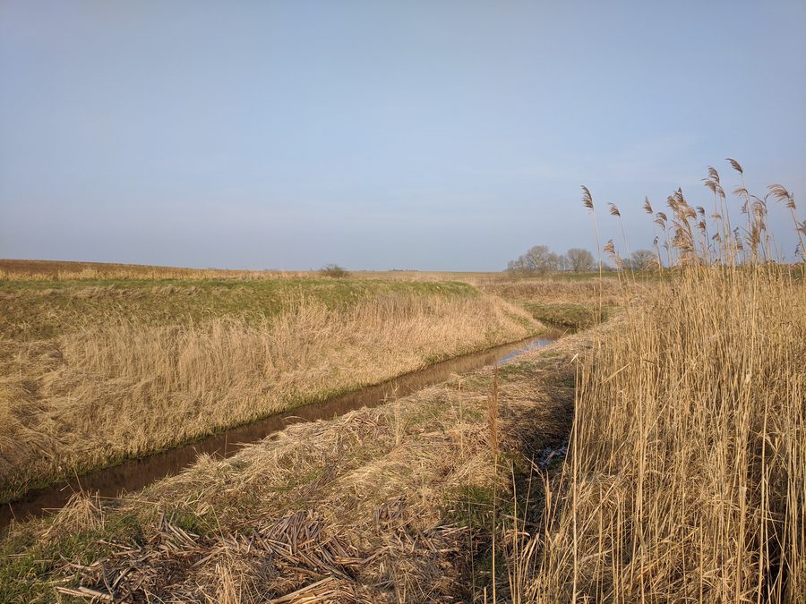 Il Peene di Kittendorf tra Bredenfelde e Sülten nel Meclemburgo-Pomerania Anteriore