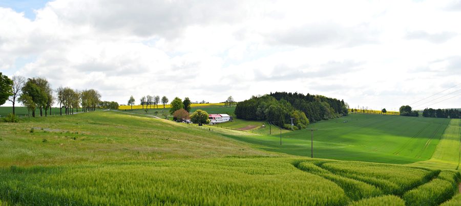 Paesaggio con fattoria a quattro lati nell’Eichsfeld della Turingia