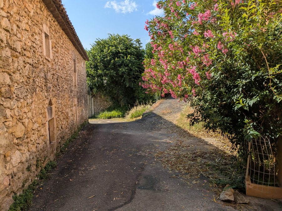 File:Allègre-les-Fumades - Arlinde - Davalade de l'Église (juin 2025).jpg
