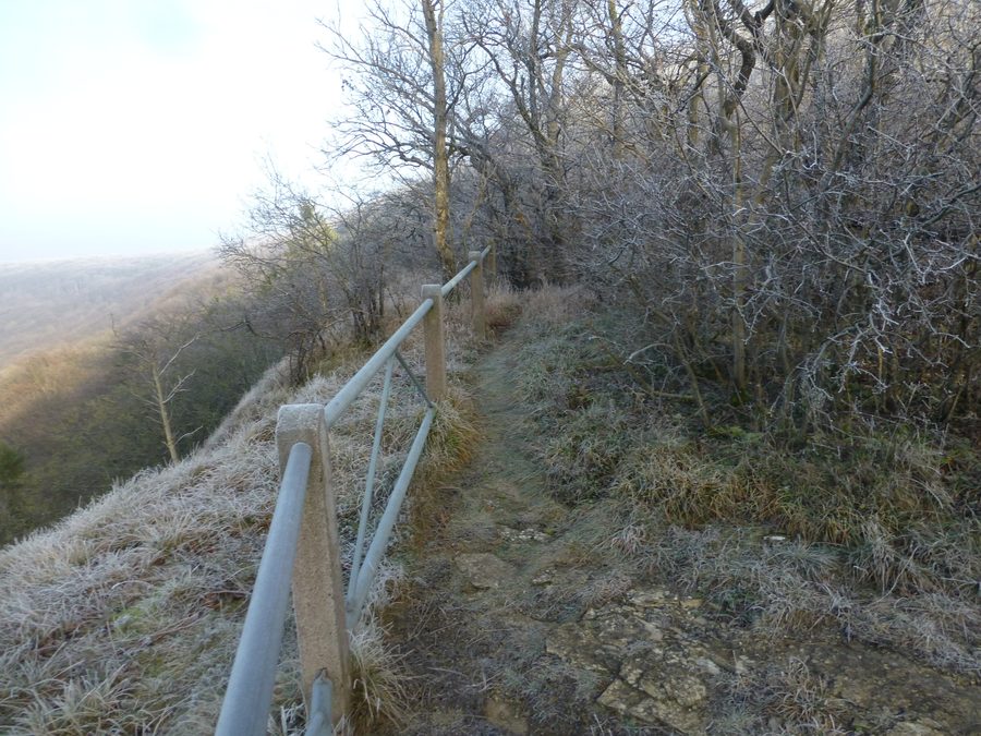 Muschelkalkfelsen an der Schichtstufe östlich des Keulaer Rondels