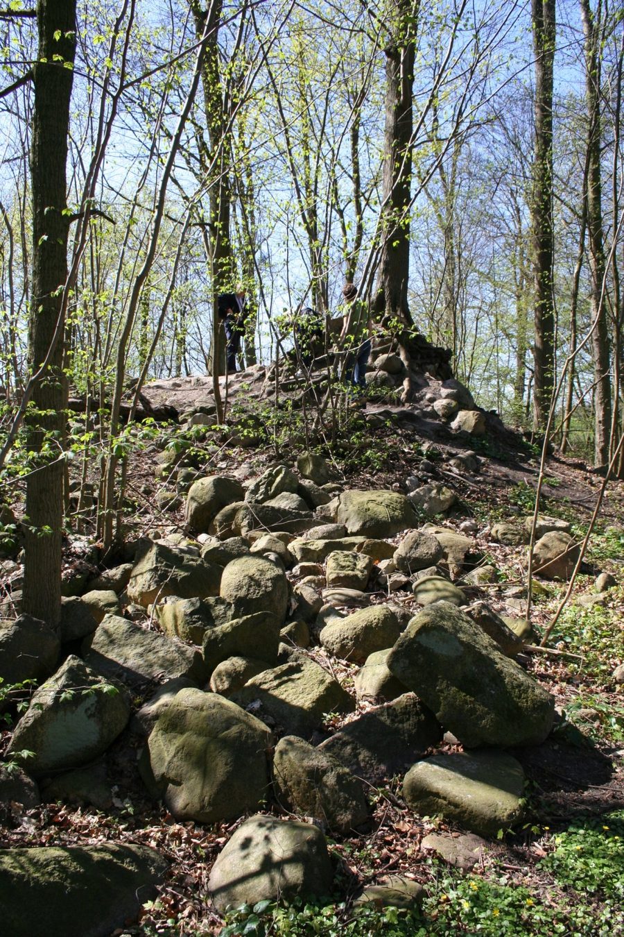 Reste der Burg Linau