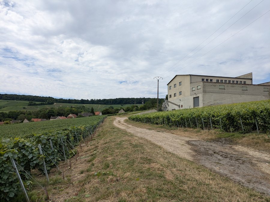 File:51346 Mareuil-le-Port Cerseuil.jpg