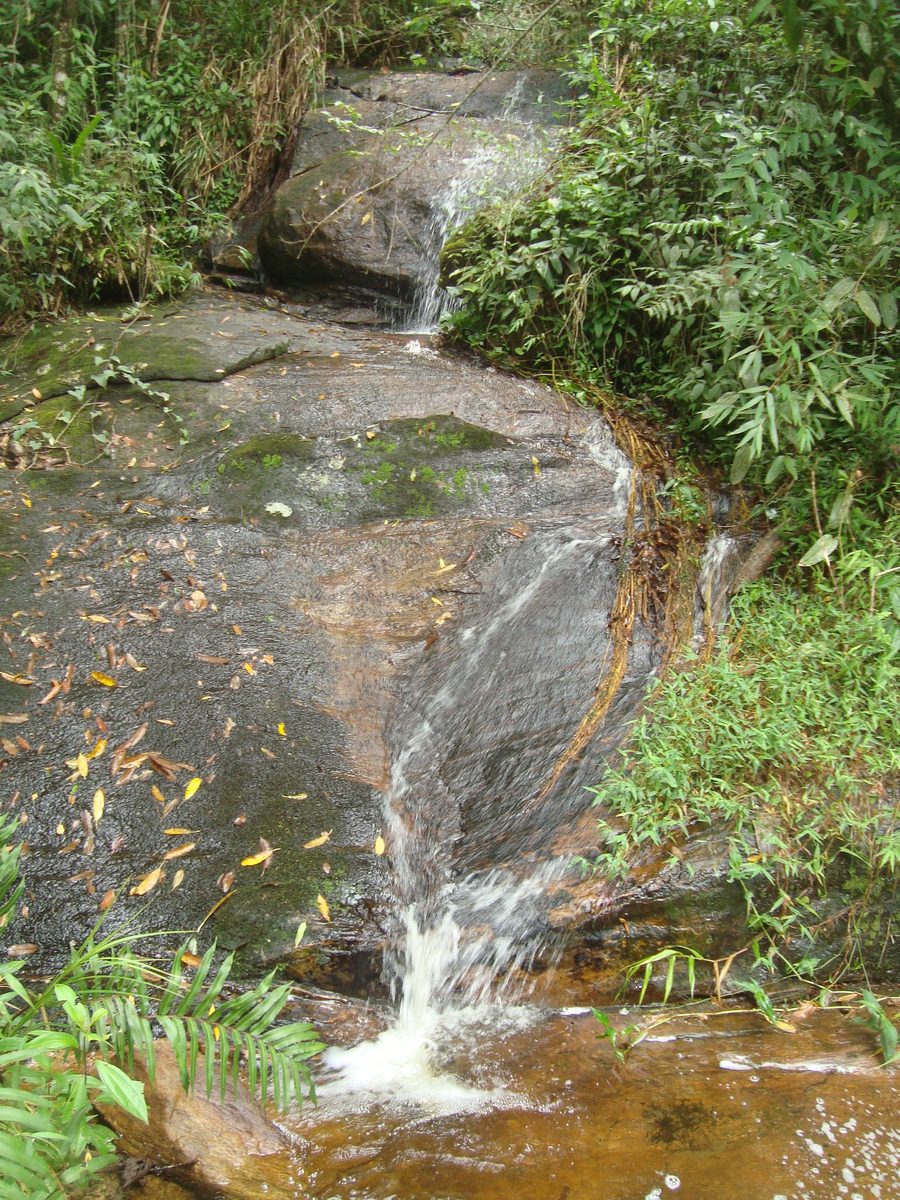 Wasserfall im Serra-do-Brigadeiro-Staatspark bei Araponga, Minas Gerais