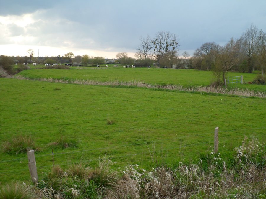 File:Le Hommet-d'Arthenay - La Terrette.JPG