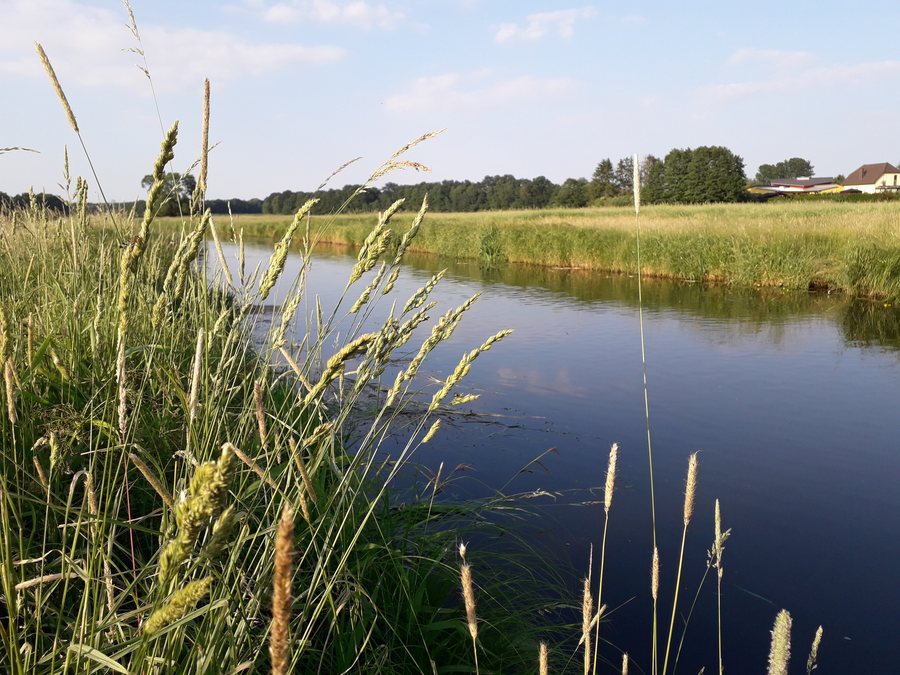 File:Sude 2018.jpg