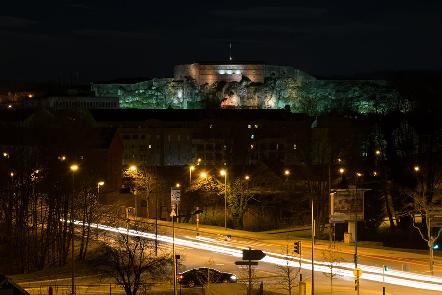 File:2016-02 Citadelle Lion Belfort 02.jpg