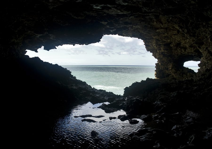 Blick aus der Animal Flower Cave auf die zerklüftete Küste von Barbados