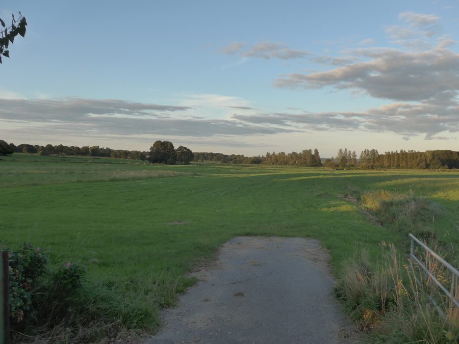 Landschaft bei Gokels in Richtung Lütjenwestedt und Todenbüttel