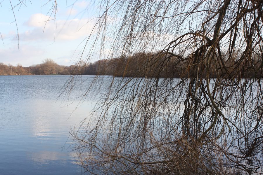 Vienenburger See
