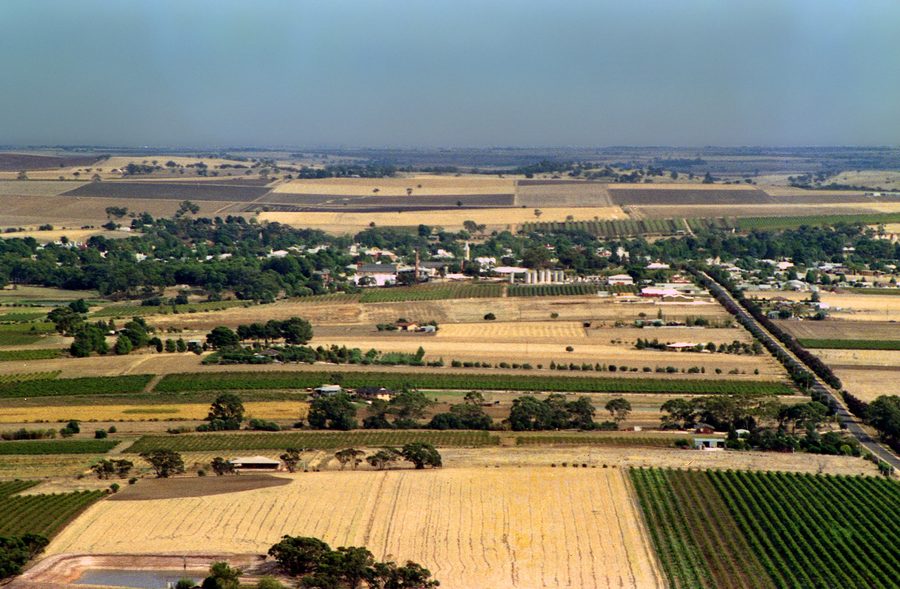 Veduta aerea di vigneti nella Barossa Valley nel South Australia