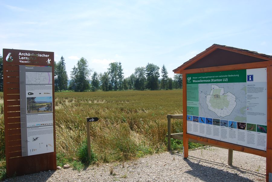 Landschaft des Wauwiler Moos bei Wauwil im Kanton Luzern