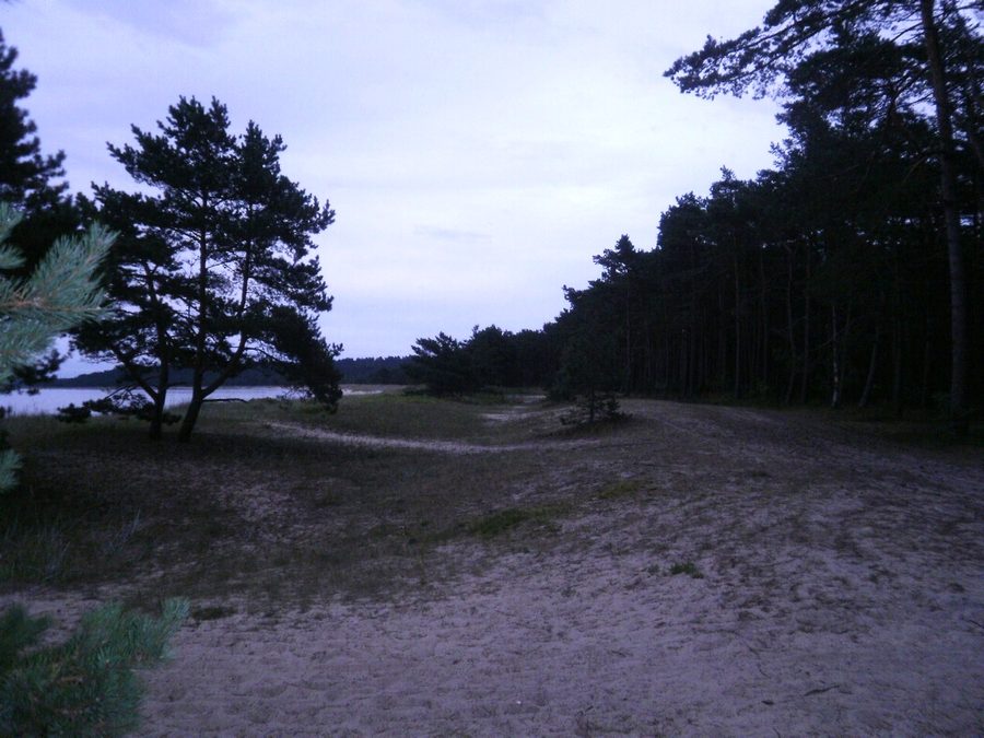 Strand von Lohusalu in Harju, Estland