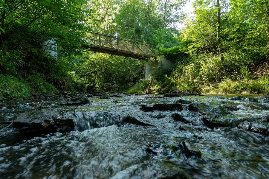 Der Sulzbach bei Denkendorf mit Brücke und Ufervegetation