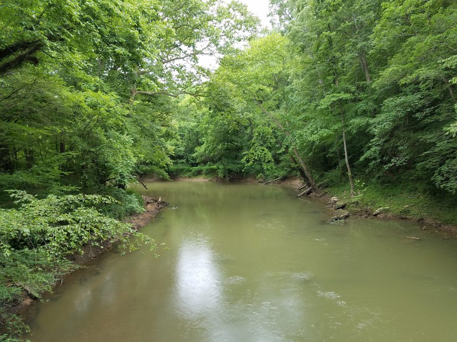 South Chickamauga Creek ad Audubon Acres a Chattanooga.