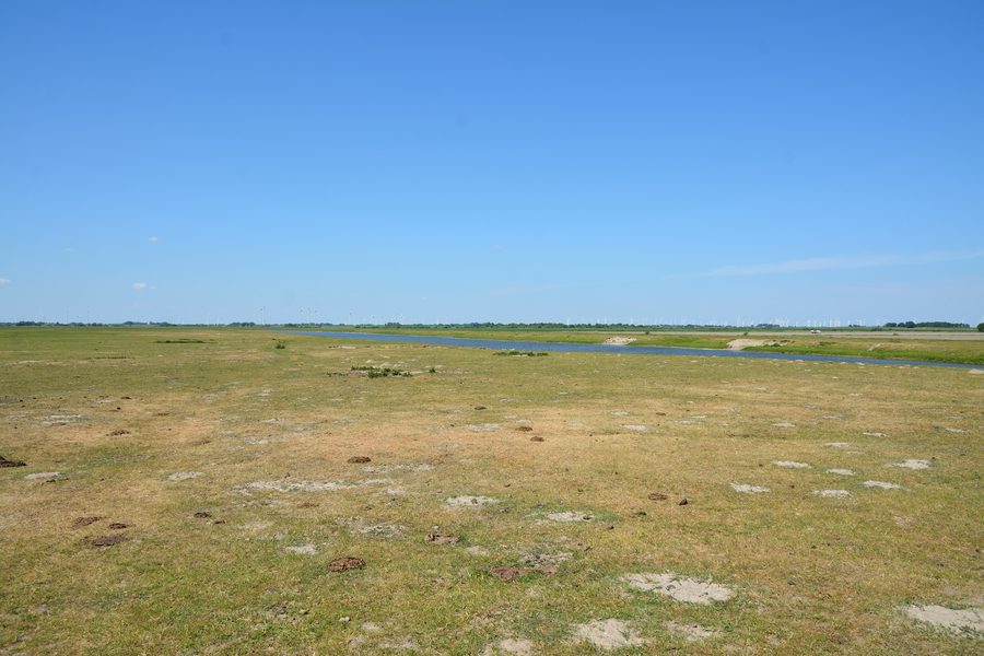 Paesaggio nella riserva naturale Wöhrdener Loch nello Speicherkoog Dithmarschen