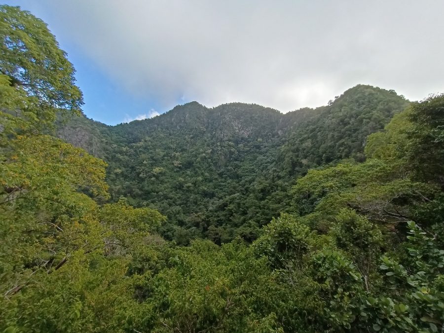 The Quill volcano on Sint Eustatius